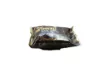 Bild von Eti Browni Gold Chocolate 36g