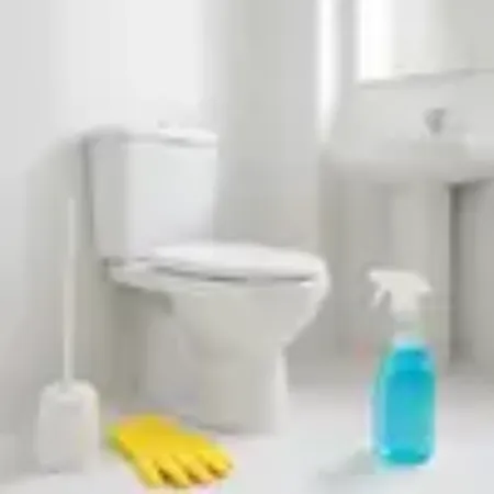 Bild für Kategorie WC-Pflege