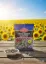 Bild von Omega Sonnenblumenkerne Extra Gesalzen 150g