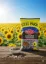 Bild von Omega Sonnenblumenkerne Extra Gesalzen 350g