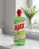 Bild von Ajax Fête des Fleurs 1000ml