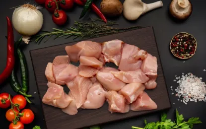 Bild von Hähnchengulasch - Tavuk Kusbasi