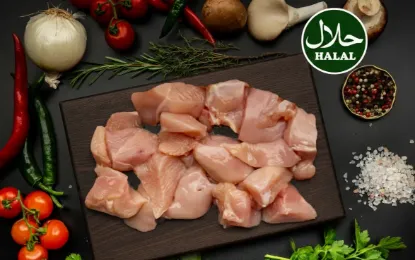 Bild von Hähnchengulasch